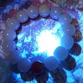 和田玉籽料手串打紫光灯视频