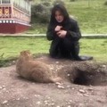川藏线之·土拨鼠特辑