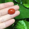 新年红