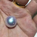 再秀个澳白