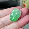 阳绿叶子，麻烦大家帮忙看看价格合适吗？