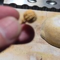 悟空啊，人间不值得，为师把你变回菩提珠可好？