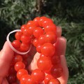 樱桃红