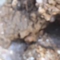在缅甸，眼睛要敏感点。不然你不知道你错过几亿。在缅甸真的宝石遍地。散步的时候...