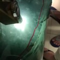 顶级种水