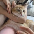 这个日子真惬意，要是时间定格多好啊。