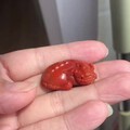 满肉锦红