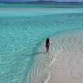 翠花下海去啦……