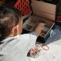 整理下水晶串串 然后被崽看到了