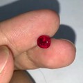 找到一点拍红宝的感觉了