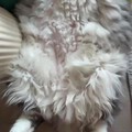 云撸撸我家二宝子