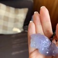 紫胶太湖石！好紫不惧阳光。