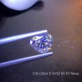 GIA 心形1.03ct D VVS2 EX EX None