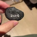 冰糖白糖一样甜💗