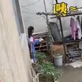 搞笑的分享一哈