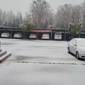 春天的大雪