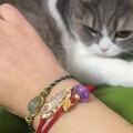 红绿绳混着来