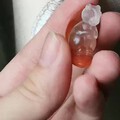 小松鼠～
