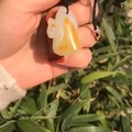 趁着阳光还在，日光之下，美哉，妙哉～