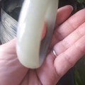 收了一只干干净净的