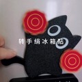 你见过会东北二人转的猫咪吗