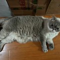 2旎的乐子