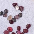 好久没来大家坛了。冒个泡顺便给大家看看最近在忙什么