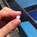 这个白色星光蓝宝石怎么样？