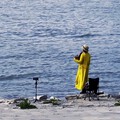 随处流浪