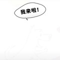 小狗狗也爱滑滑梯呀