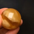 妖孽一枚