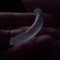 灯管