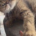 爱你哦😘