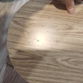 垃圾桶里会长出小猫来
