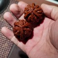 自己盘了五年的虎头小奔!