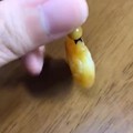 籽料独籽黄沁小精品 府上有龙