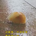 梅雨季节
