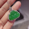 这样辣眼的绿，值吗