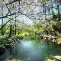 云旅游