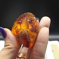 太平有象，期待抛光！