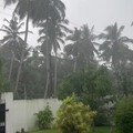 斯里兰卡海岛国家就这样，说下雨就下雨！倾盆大雨不为过