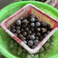 红糖圆珠手串,定型完成,下一步打磨环节