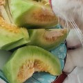 快打110！有小偷！！
