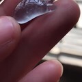 可爱胖肥足