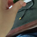 小马