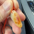 红皮白肉独籽